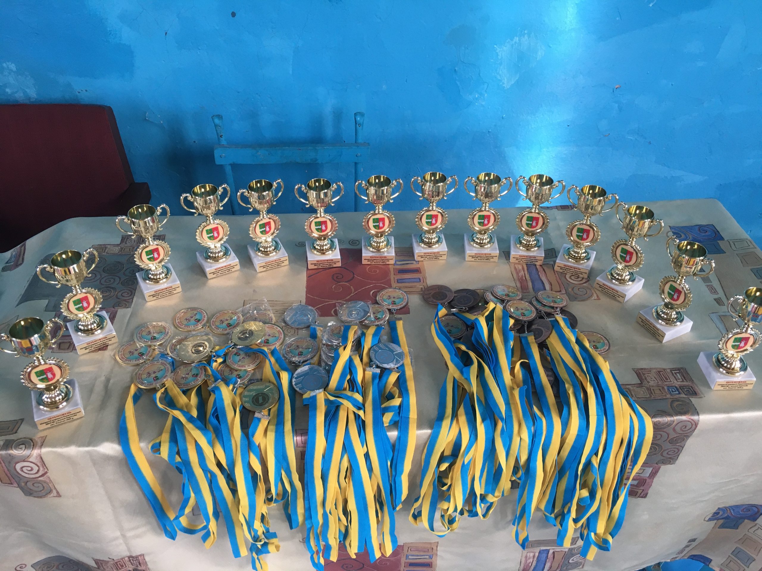 Понад 60 спортсменів взяло участь у відкритій першості Рокитнянської ДЮСШ Київської області